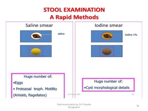 Routine Examination Of Stool
