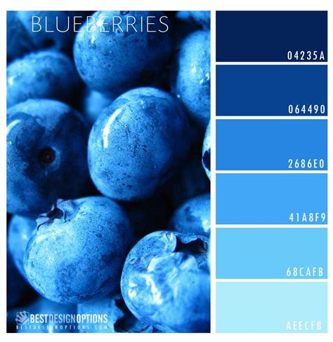 blueberry-color-palette | Color Palettes | Pinterest | Color inspiration, Bright color palettes ...