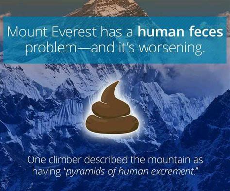 26 WTF Facts That Are Crazy Awesome - Wow Gallery | eBaum's World