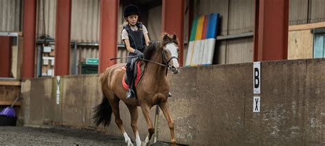 Horse Riding Birmingham Bourne Vale Stables Ltd