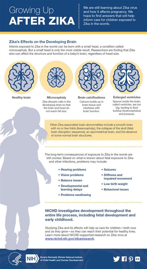 Zika virus can cause severe birth defects in babies whose mothers are infected during pregnancy, and it is now carried by mosquitos in the continental united states. Infographic: Growing Up After Zika (With images) | Zika ...