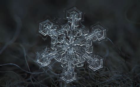 Images Snowflakes Macro Closeup 1920x1200