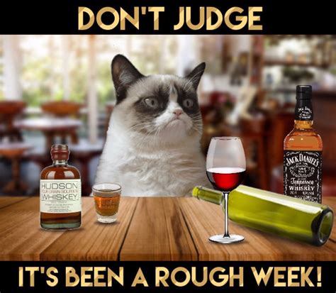 Grumpy Cat Says Dont Judge Its Been A Rough Week Funny Grumpy Cat