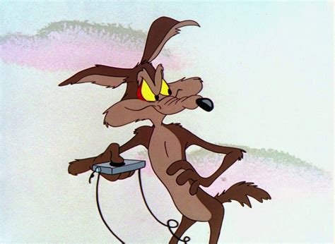 Looney Tunes Pictures Wile E Coyote Looney Tunes Show Looney Tunes