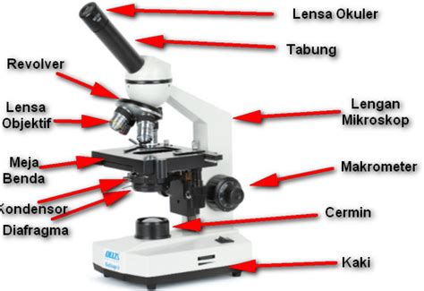 Bagian Bagian Mikroskop Elektron Dan Fungsinya Serta Cara Kerjanya