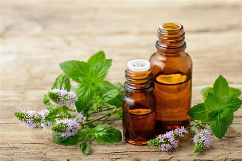 What are the Storing Essential Oils? - Definition,10 Types