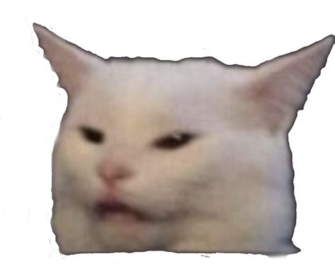 Freetoedit Meme Cat Sticker By Themultifandomloser