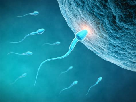 Hopeful Mothers Seek Sperm Donors On Internet For Sex Impregnation
