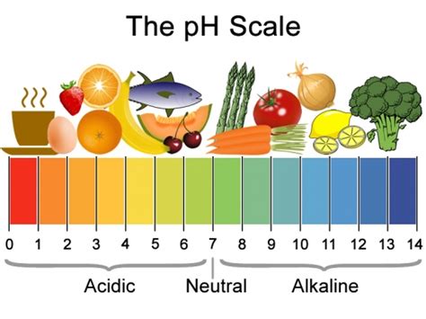 Some foods that start out alkaline become very acidic when cooked. Benefits of Baking Soda on Health and Performance - Siim Land