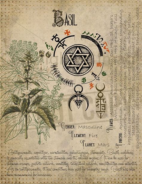 The most famous book of shadows was created by the pioneering wiccan gerald gardner sometime in the late 1940s or early 1950s, and which he utilised first in his bricket. Pin by Nina Marie Dittmar on magick | Magic herbs, Book of ...