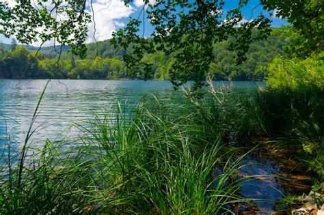 Premium Photo Croatia Lake With Crystal Clear Turquoise Water In