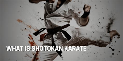 What Is Shotokan Karate Understanding The Benefits And History Of The