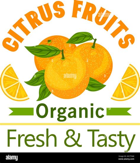 Citrus Fruits Poster Orange Fruit Vector Icon For Juice Label Drink