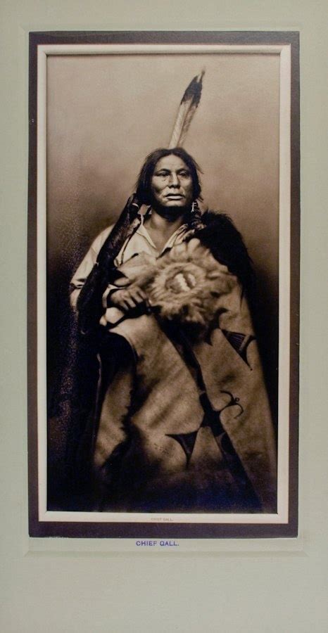 Chief Gall Pizi Hunkpapa Lakota By D F Barry At Mar 19 2013