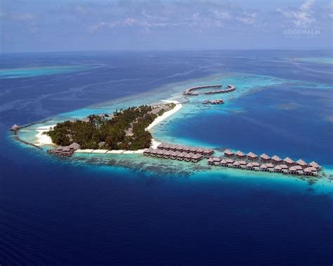 Stunning Coco Palm Bodu Hithi Resort In Maldives Maldives Resort
