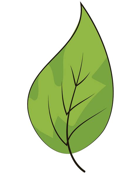 Leaf Clipart Png Clip Art Library