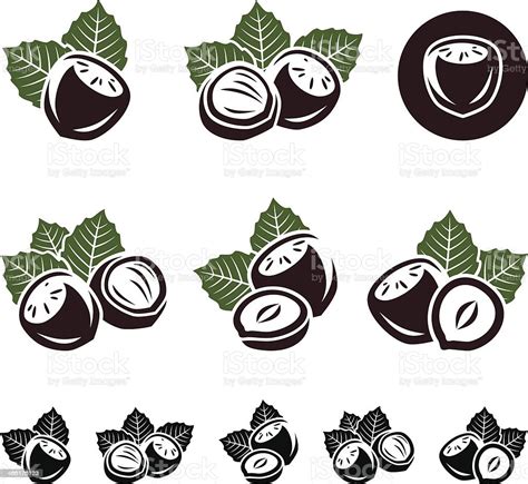 Vector Illustration Set Of Hazelnuts Stock Illustration Download