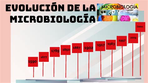 Linea De Tiempo De La Historia De La Microbiologia Timeline Timetoast