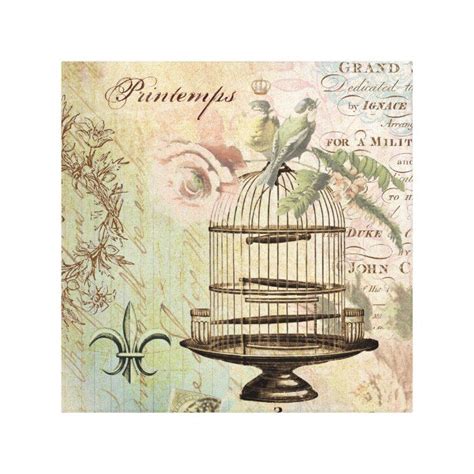 Vintage French Birdcage Stretched Canvas Canvas Print