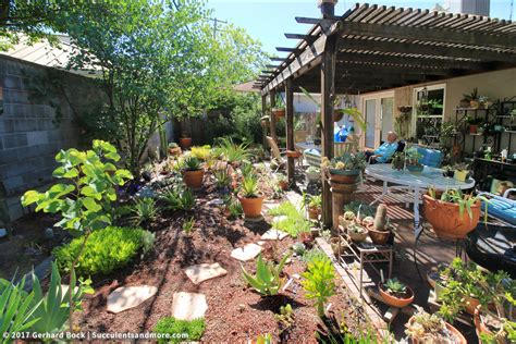 If you want to grow a cactus to their full size, it may take many years. Linda's Sacramento backyard succulent garden