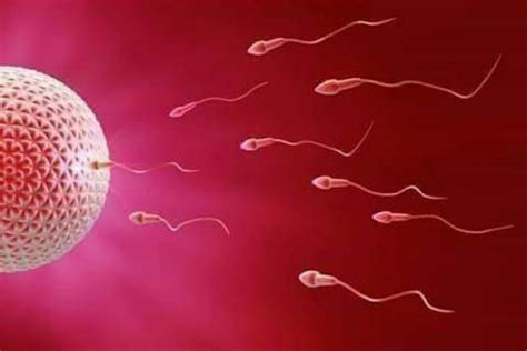 Why Is My Husband Sperm Watery Watery Sperm Causes Nigerian Health Blog