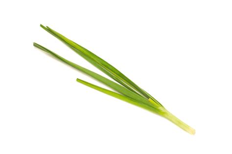 Premium Photo Asian Chives Leek Isolated On White Background