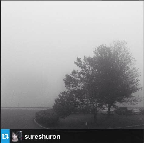 Foggy Morning Loomistagram Foggy Morning Foggy Instagram
