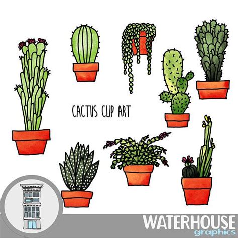 Cactus Digital Hand Drawn Succulents Clip Art Watercolor High Etsy