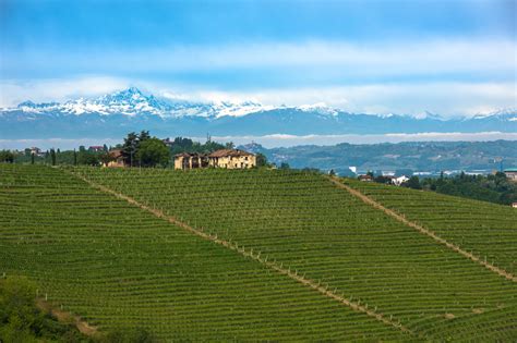 Interesting Facts About Langhe Wine In Piedmont Region