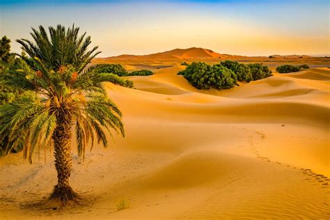 5 Maravillosos Desiertos Que Merece La Pena Visitar Mi Viaje