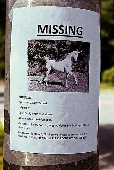 20 Funny Lost And Found Pet Posters Funny Posters Funny Signs Funny