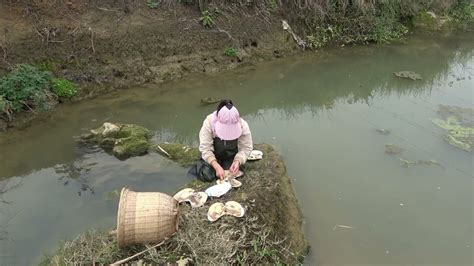 Pearl Hunter Collect And Release Golden Pearls In A Deserted Creek