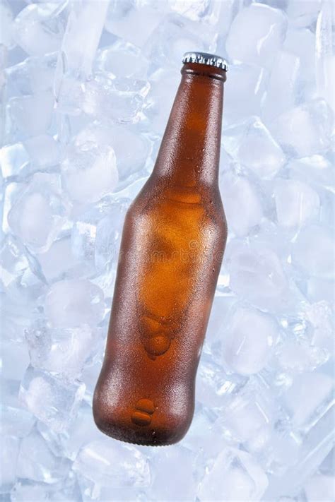 One Cold Beer Stock Photo Image Of Cold Drop Drink 33588062