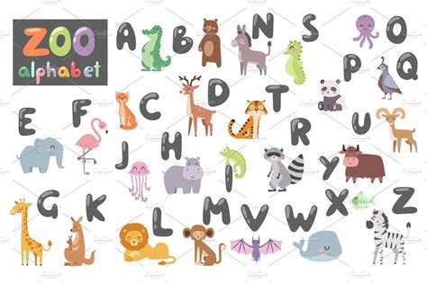 Cute Zoo Alphabet With Cartoon Animals Isolated On White Background And