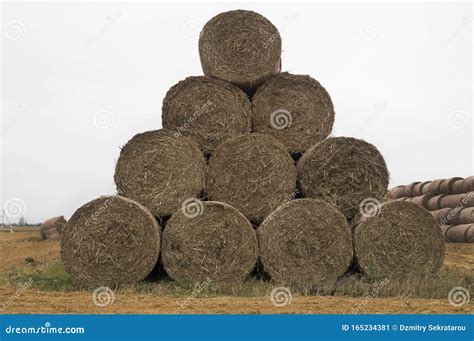 Stack Of Straw Bales Circular Shape Stock Image Image Of Industry