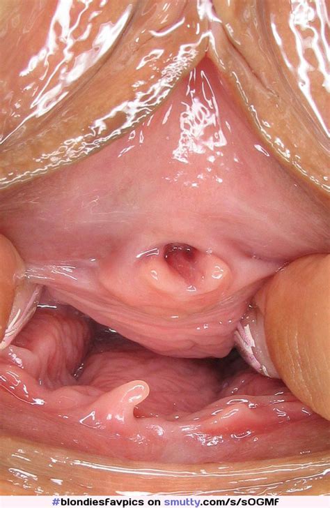 Vagina Urethra Close Up Hot Sex Picture