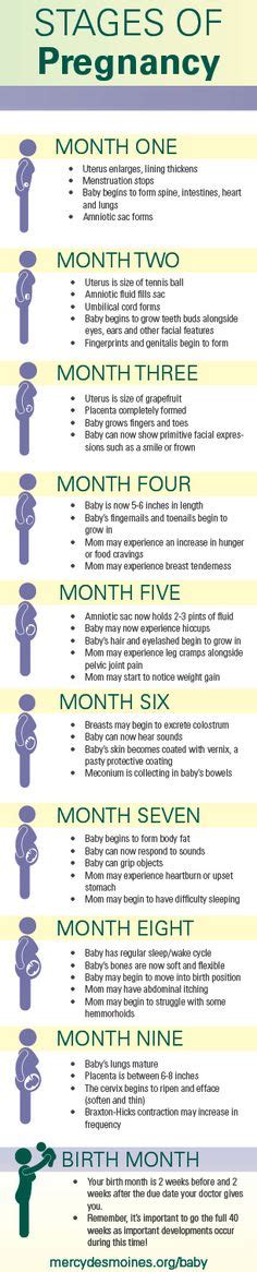369 Best Midwifery Images On Pinterest Pregnancy Birth And Breastfeeding