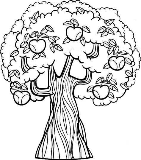 Old Apple Tree Coloring Page : Kids Play Color