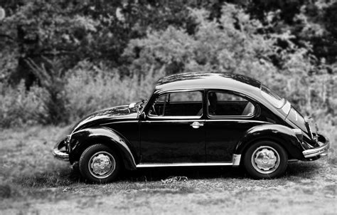 Schwarz Bug A Short Adventure On The Rhine Germany And Captured This
