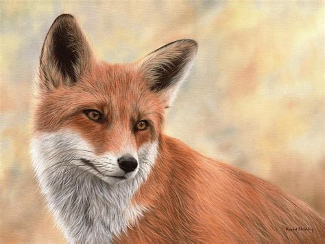 Cute Animals By Elza Bester Dejager Fox Painting Fox Art