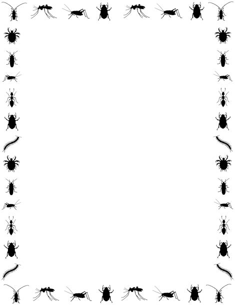 Bugs Clipart Border Bugs Border Transparent Free For