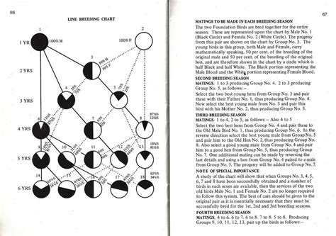 Line Breeding Chart - My Bird World