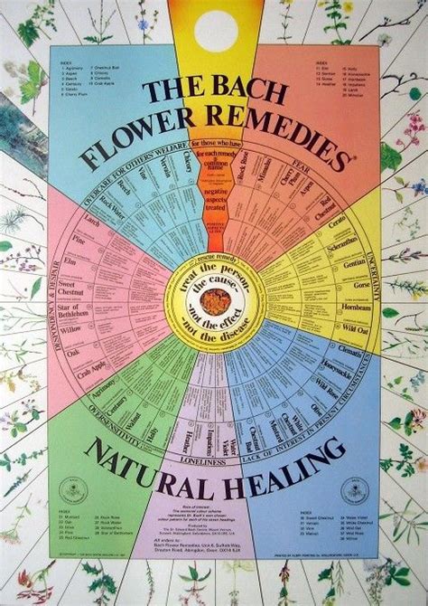 Bach Flower Wall Poster Chart Bach Flower Remedies Flower Remedy