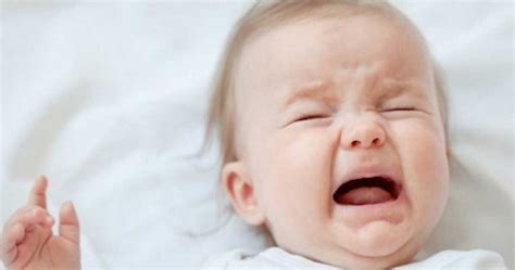 ¿por Qué Los Bebés Lloran Sin Lágrimas