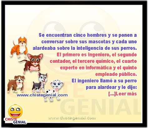 Pin On Chistes De Animales
