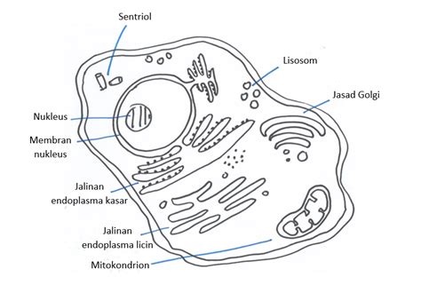 Biologi Tingkatan 4 Bab 2