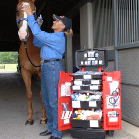 Equine First Aid Kit Horse Trainer Vet Clinics Veterinary Hospital