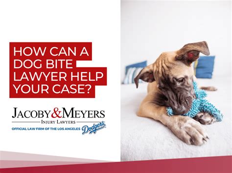 How Can A Dog Bite Lawyer Help Me