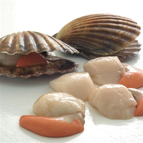 Scallops In The Shell Recipes Delia Online