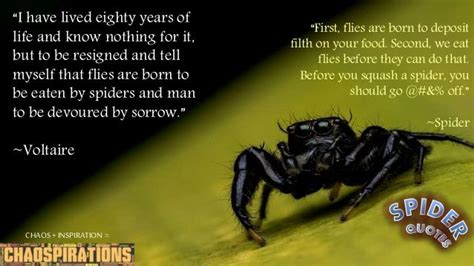 Follow The Spiders Quote Spider Quotes And Sayings Quotesgram Hello